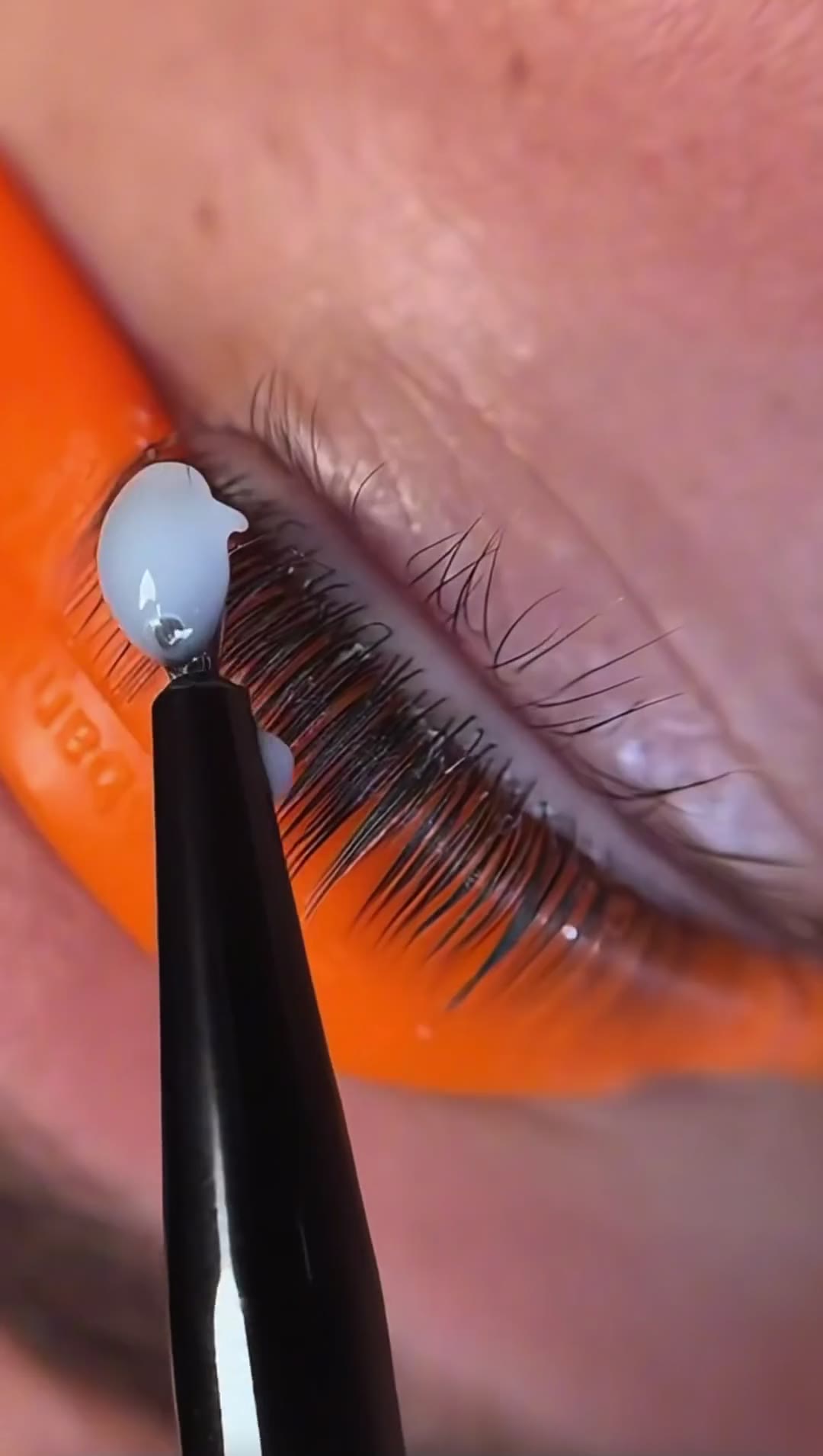 Beauté du regard · Prestige Skin